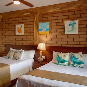 Habitación con Cama King